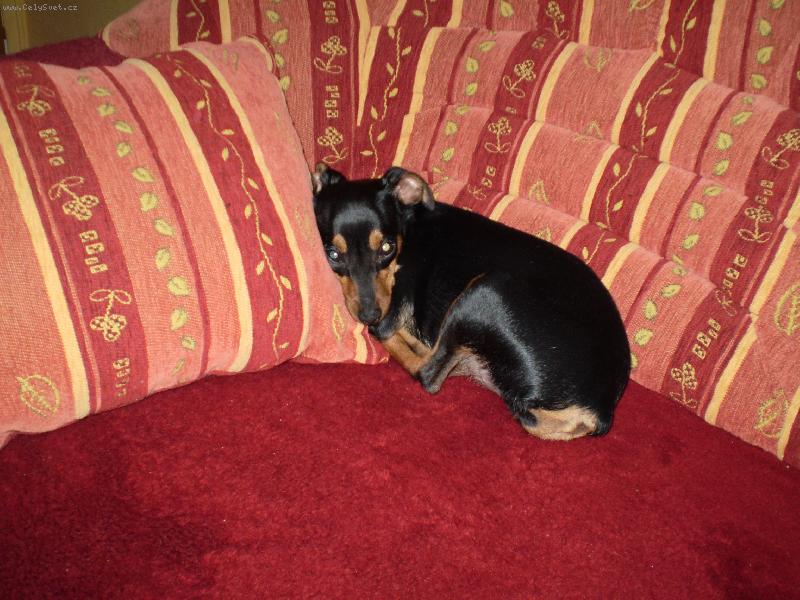 Foto: tamča hajinká