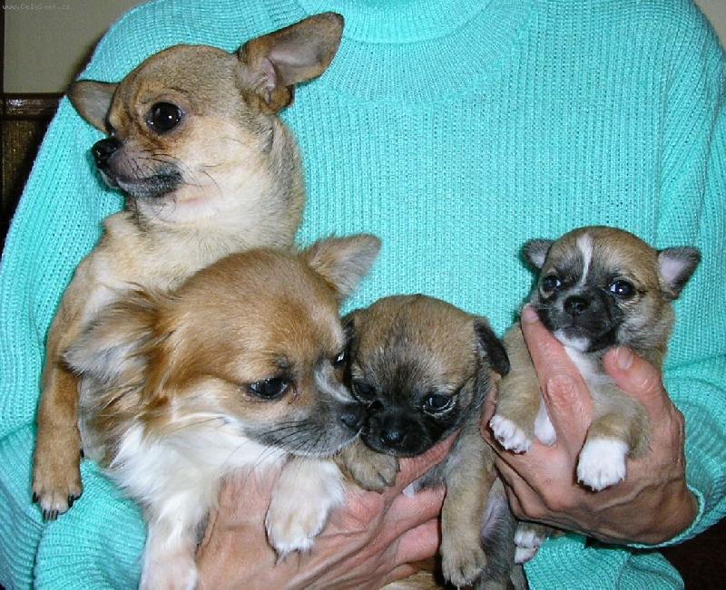 Foto: astná rodinka