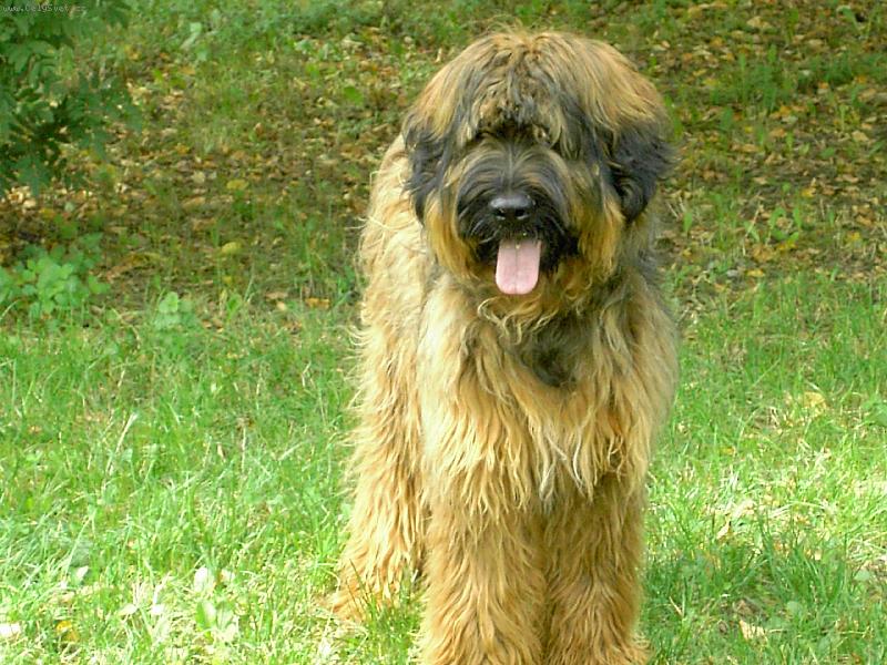 Foto: Ruprecht barbar Beskydy