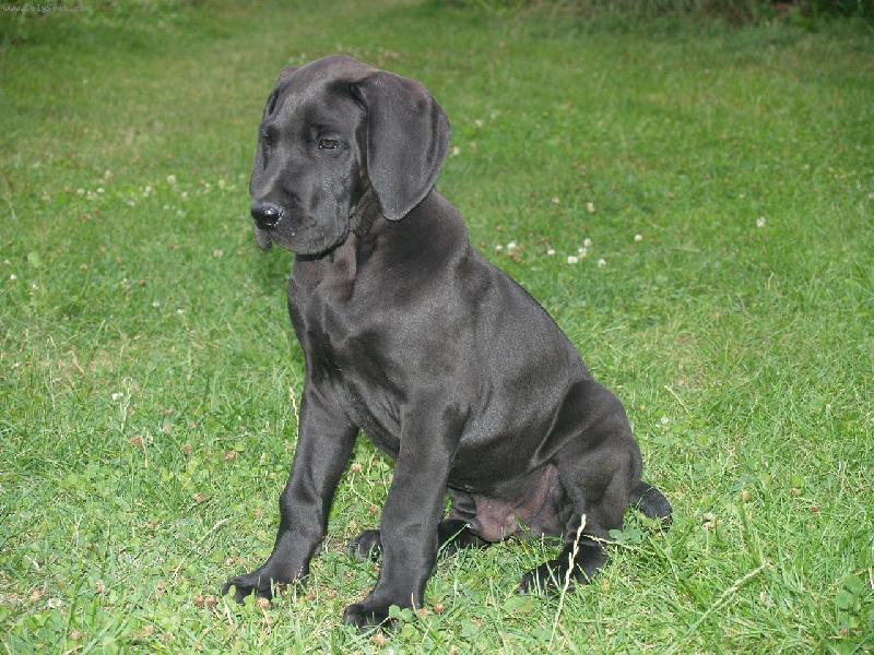 Foto: malý krasavec