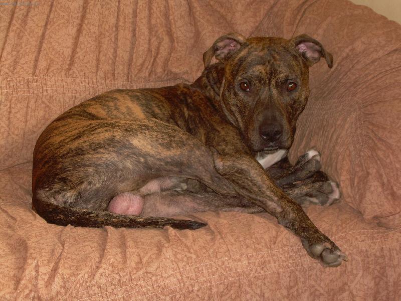 Foto: spinkáme-Gasperoti