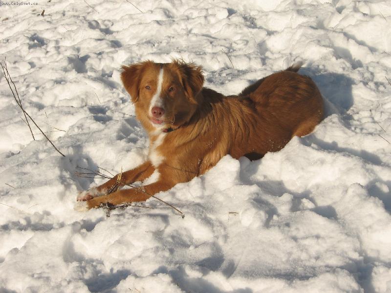 Foto: pohoda ve sněhu