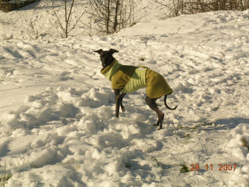 Foto: Bono-venku zima,potřebuju kožíšek
