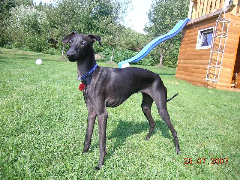 Foto: Bono-malá póza