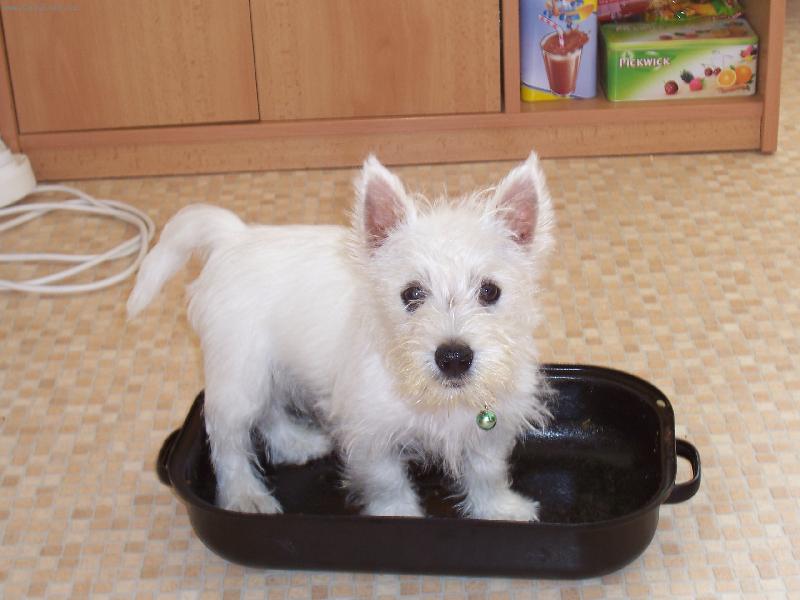 Foto: No co meju nádobí