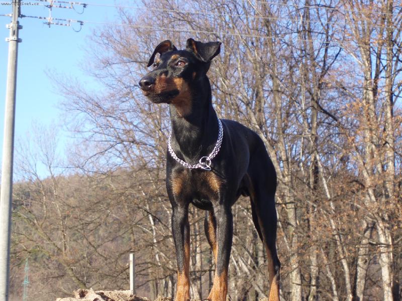 Foto: athoseimmi.estranky.cz-náš manchester