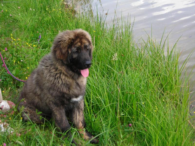 Foto: V pěti měsících u rybníka-Baša Šekim při seznamování s vodou