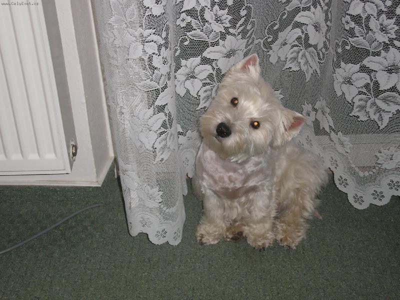 Foto: anetka-modelka