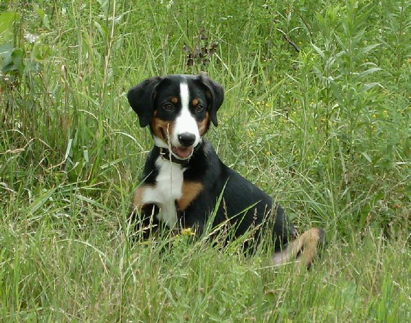 Foto: Abora z Velkého Újezda-3 měsíce