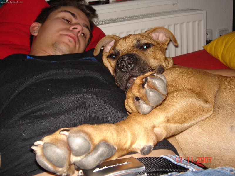 Foto: Prášek-dobrou...