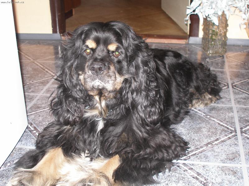 Foto: Míšanek-medvídek