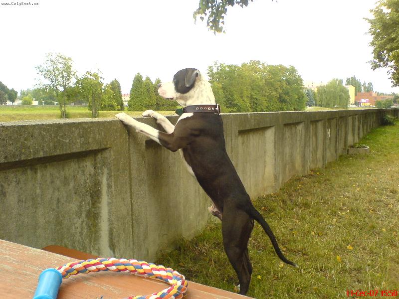 Foto: 15 měsíců-Badeček