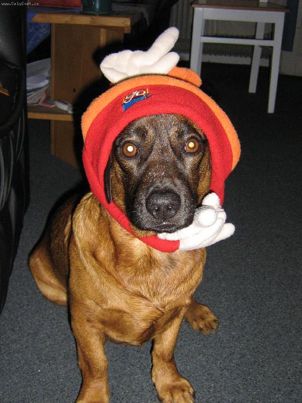 Foto: Jsem fešák ze Slivence!!!