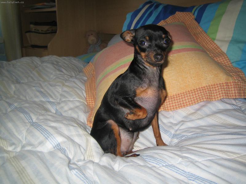 Foto: Zorinka-12 měsíců