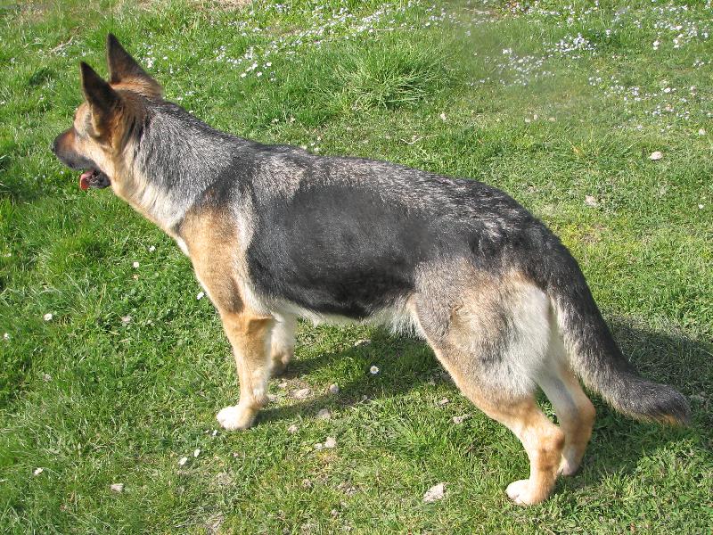 Foto: Rorynka-krásavica