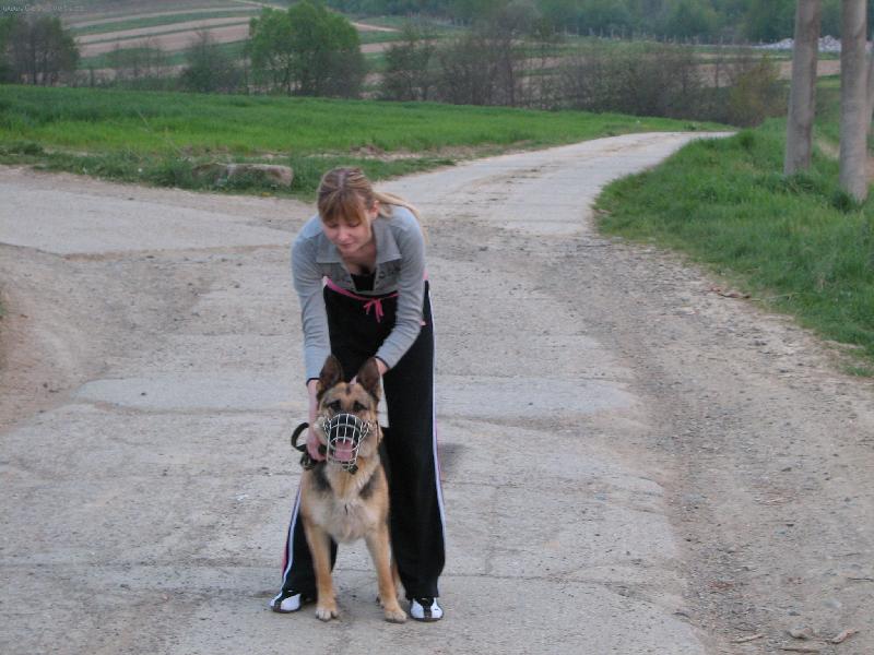 Foto: Rorynka-krásavica