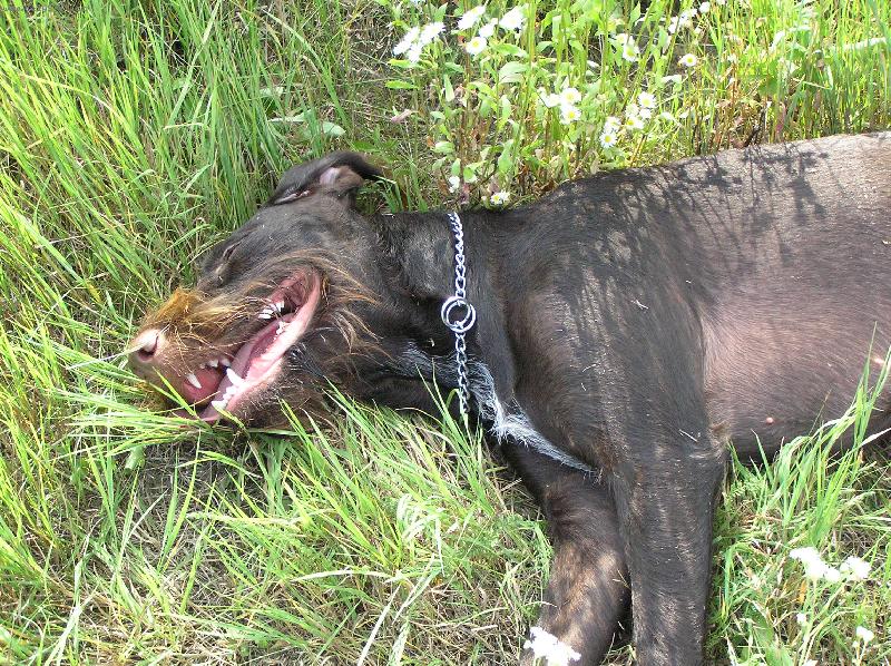 Foto: Orina z Kyjovic