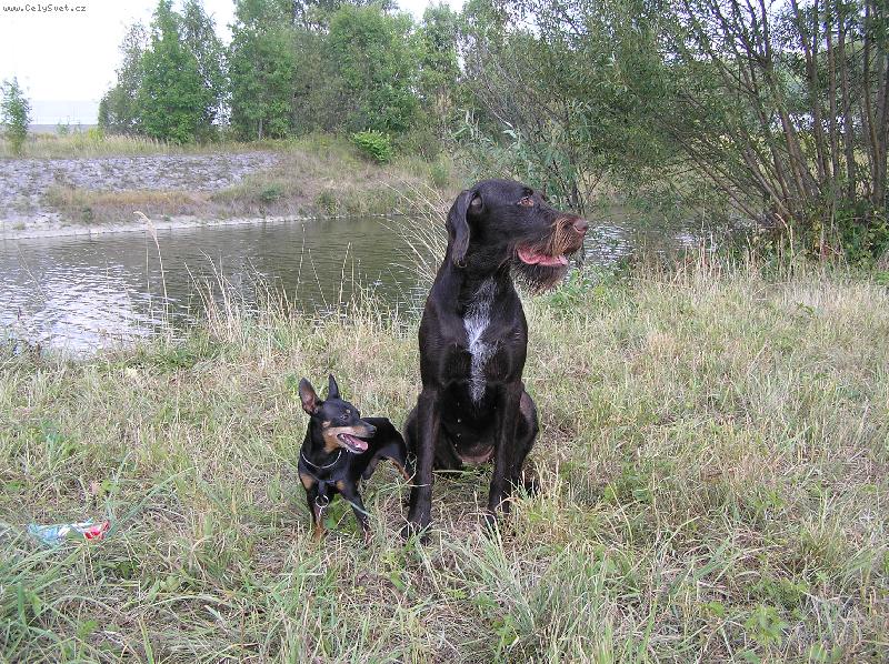 Foto: Orina z Kyjovic-S kamarádem