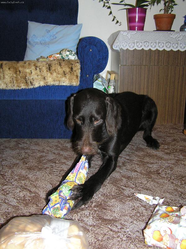 Foto: Orina z Kyjovic-Vánoce 2007- rozbalování dárků