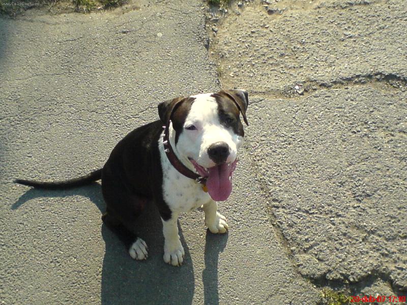 Foto: Náš miláček-Badeček 13 měsíců