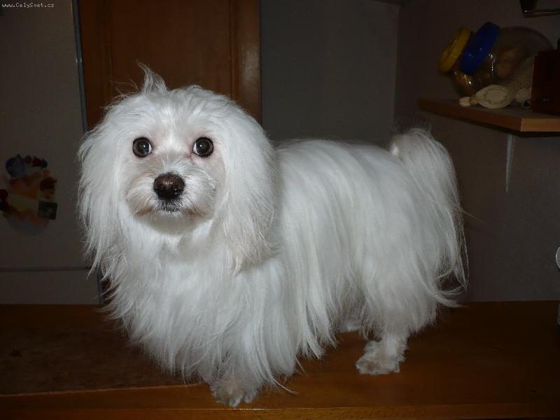 Foto: Kim-po koupání