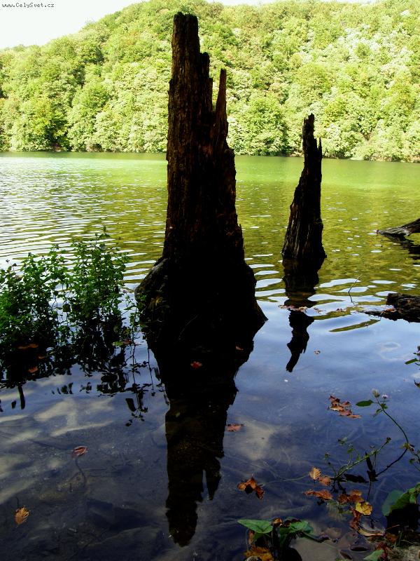 Foto: Plitvická jezera-Ztrouchnivělý kmen