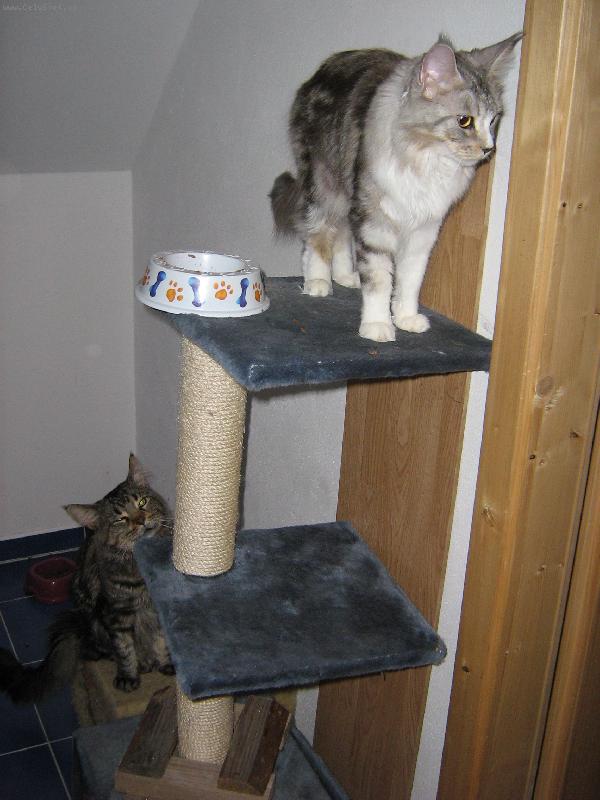 Foto: Airy a Reginka-Nas je ten dole - Airy