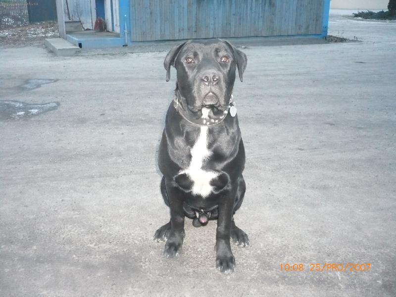 Foto: Ares-Ares 8.měsíců