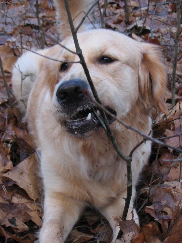 Foto: Besinka-Na procházce