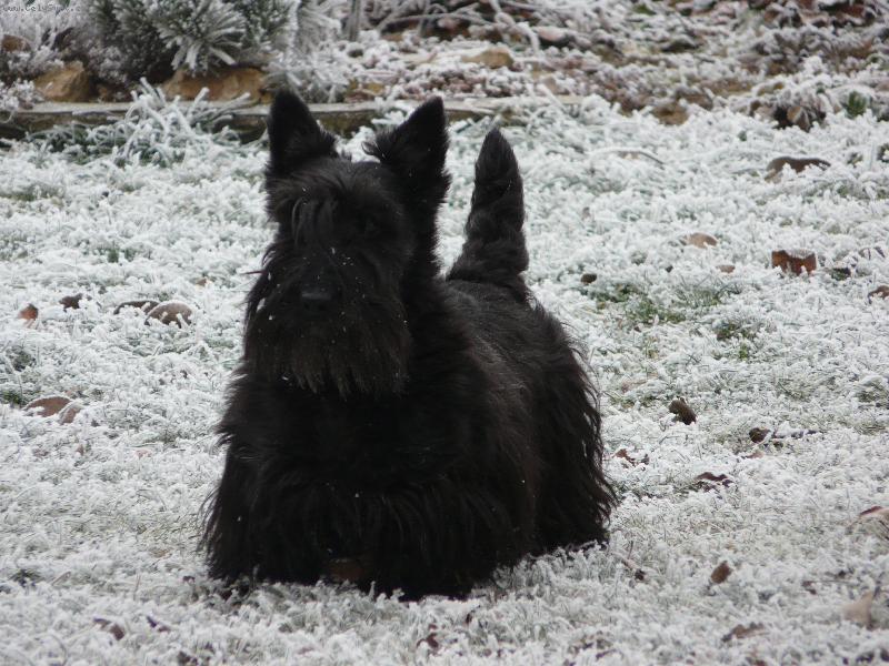 Foto: ve svém živlu