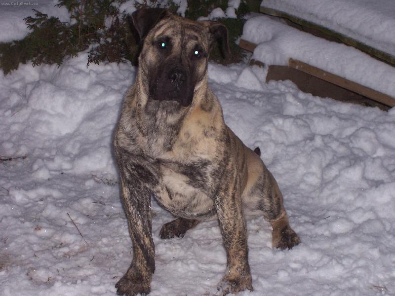 Foto: Mona Chamjan-6 měs.