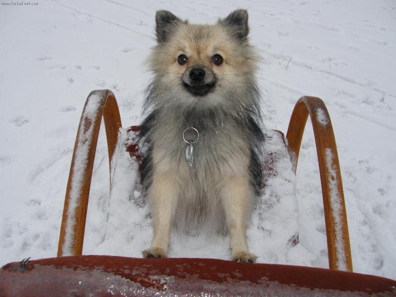 Foto: Na starým křesle