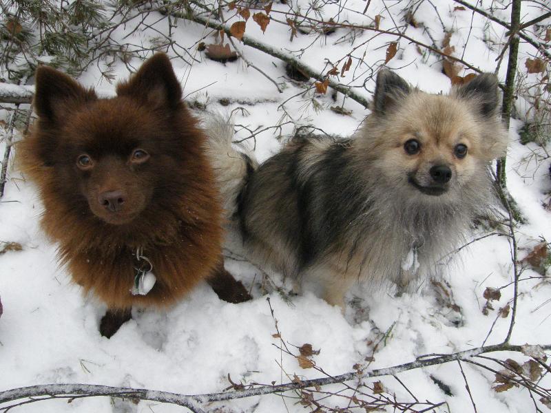 Foto: Správná dvojka