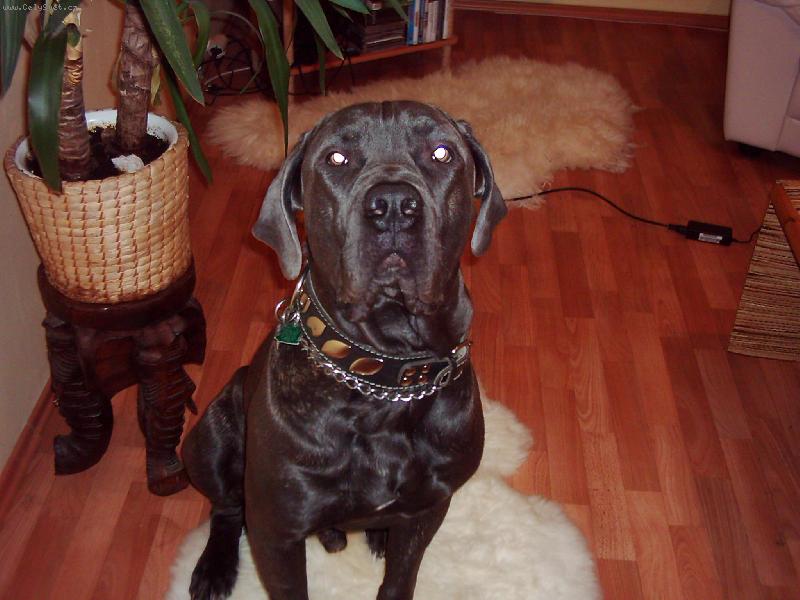 Foto: Nero 10 měsíců