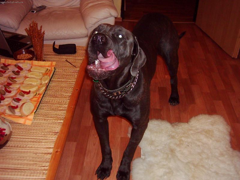 Foto: Nero 10 měsíců