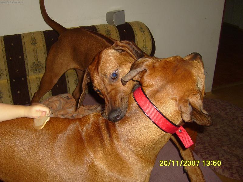 Foto: sendynka a mia-neštvi mě