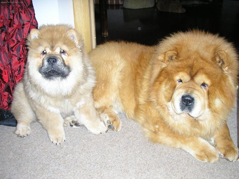 Foto: Míša a Nelinka