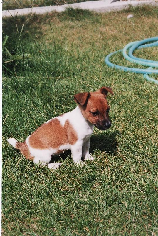 Foto: Amy-čekám kluky ze školy