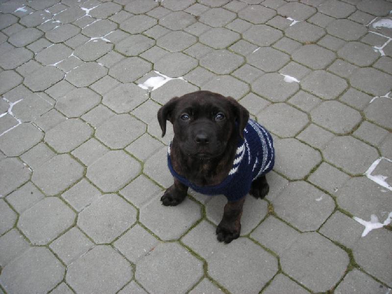 Foto: naše matylda-krasavice