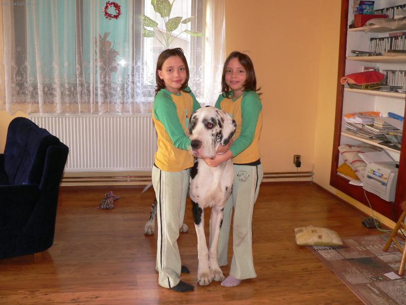 Foto: Orin a dvojčata