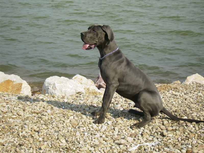 Foto: arthur apollon adonis-Náš drobček