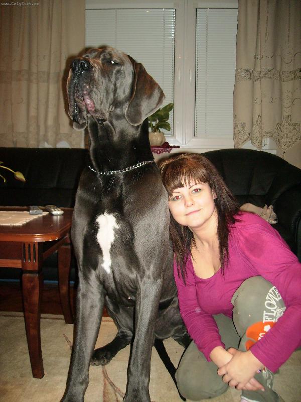 Foto: arthur apollon adonis-drobček...