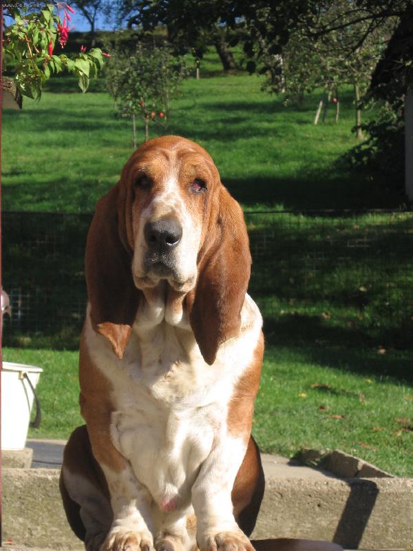 Foto: (Milouš)-Arčí