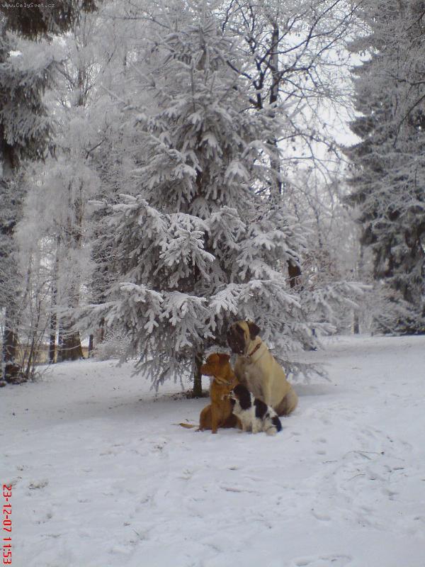 Foto: V Jilemnici v parku-Fífa a Jena   Vikča