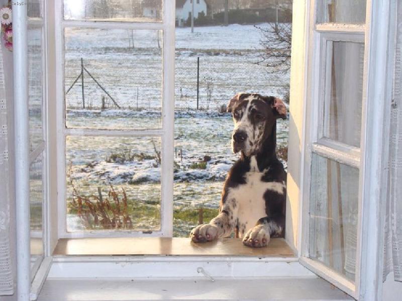 Foto: Abby - Andromeda Chotucká hvězda