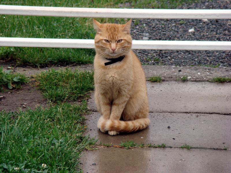 Foto: Macek-ja sem krasnej