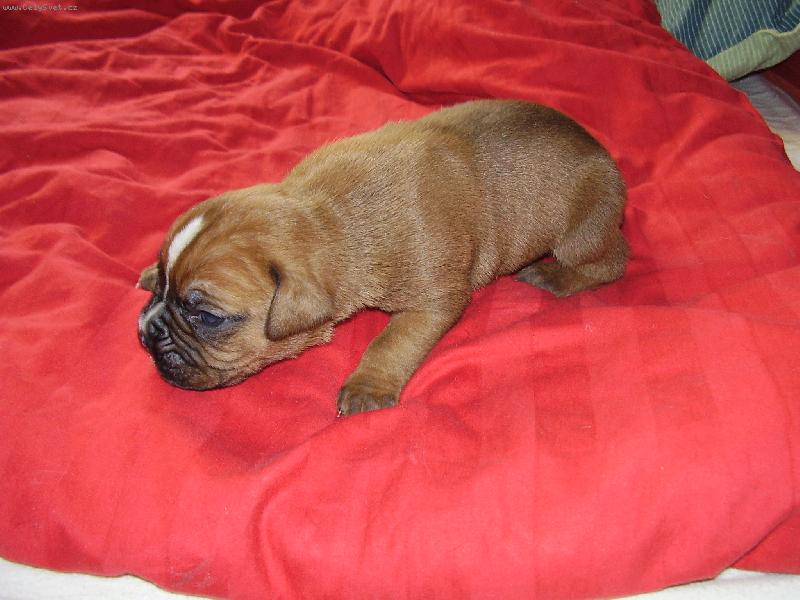 Foto: Náš Arthur-miminko