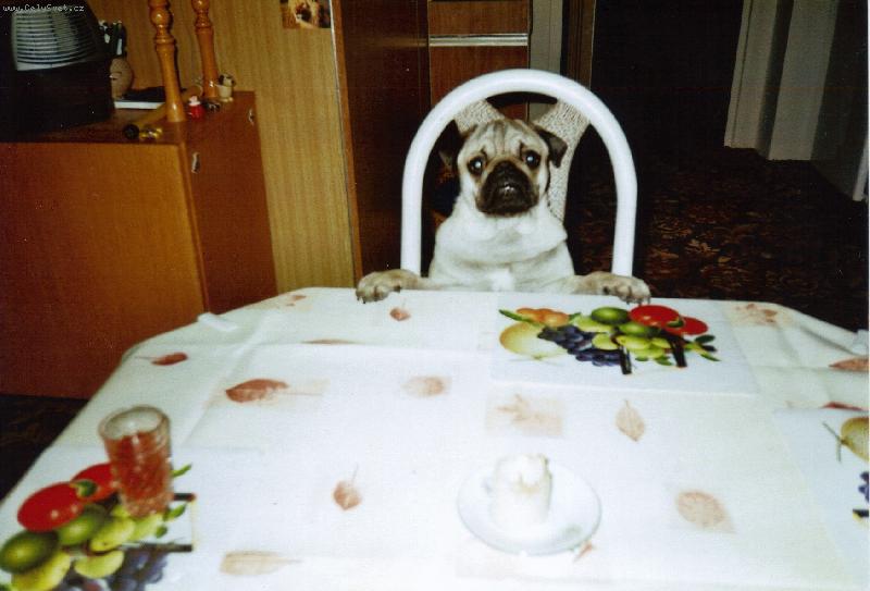 Foto: čekání na oběd