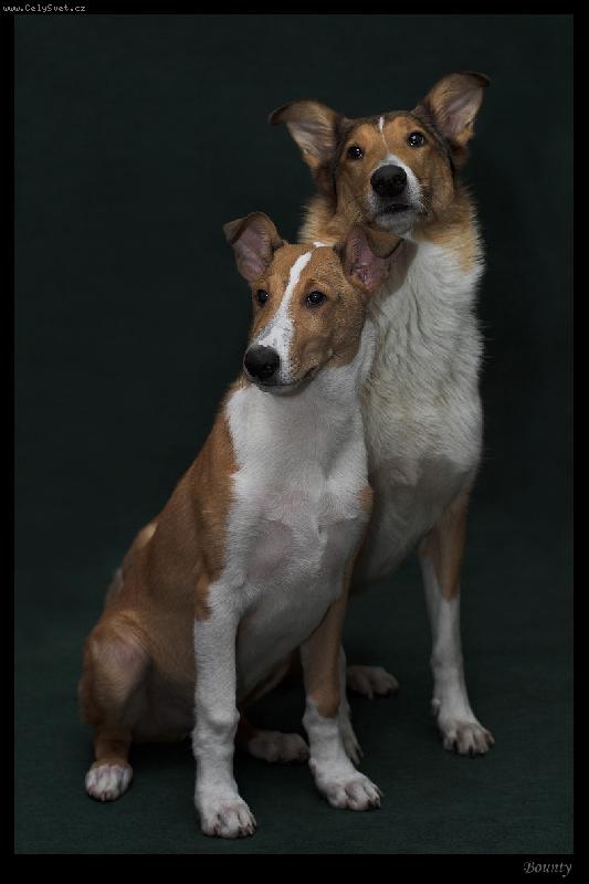 Foto: Budú z nás hviezdy?-Amber Rise (vzadu) a Loriseum Abreu - Bryš (vpredu) pri foteni na obálku časopisu