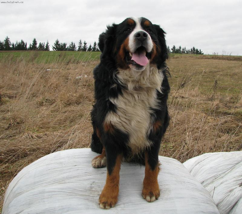 Foto: Jim z Akátové aleje-na balíku
